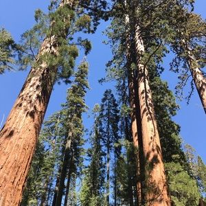 Meet your Posher, Maryam